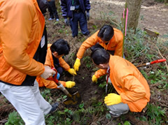 ＫＪＣ設立40年記念植樹